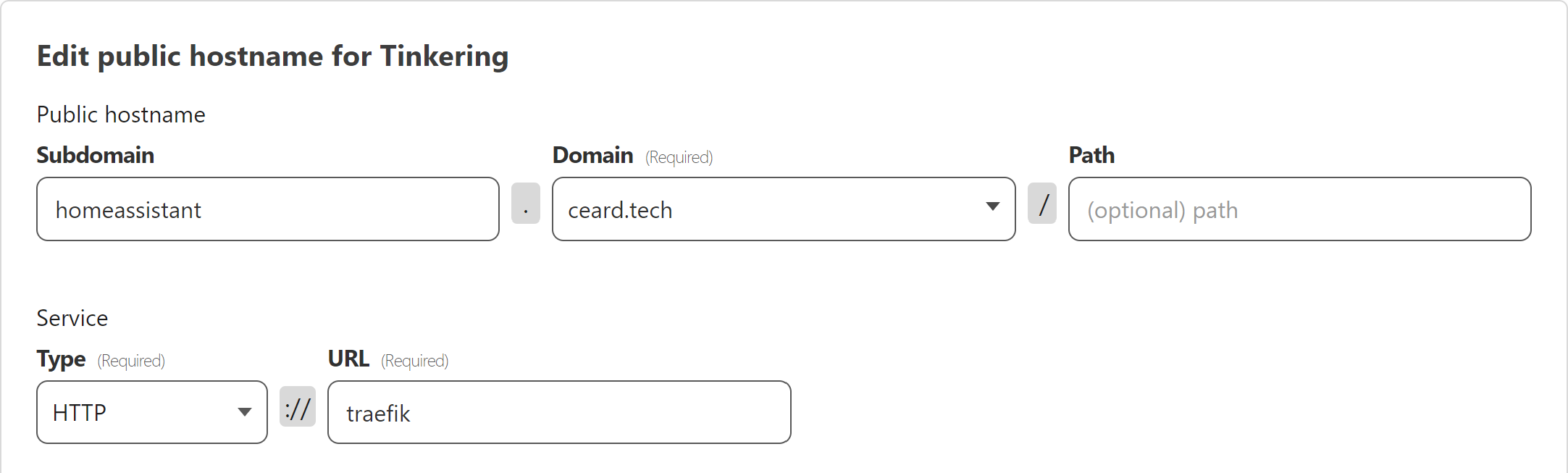 public hostname